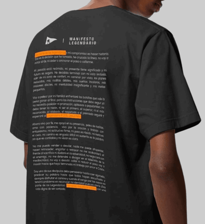 Camiseta Manifesto Suedini 2